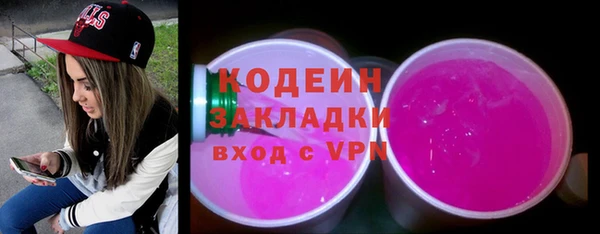 хмурый Инта